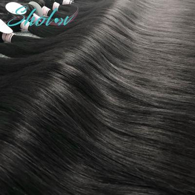 China Silky Straight Wave Cuticle Aligned Raw Brazilian Hair Vendors, Cheap Virgin Hair Bundle Blue Wet And Wavy Indian Bundles, Indian Hair Extension for sale