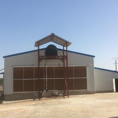 China China Prefab Economical Design Steel Structure Poultry Farm House Steel Structure Poultry House Shed Open Side Type for sale