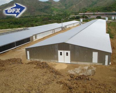 China Steel Fabricated House Galvanized Prefab Poultry House Closed System Steel Poultry Shed for sale