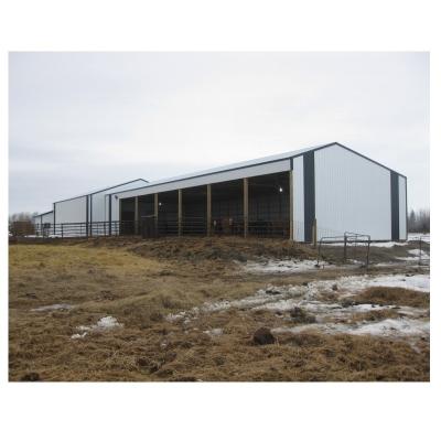 China China Modern Prefab Shed Steel Structure Warehouse Factory Steel Frame Buildings Shed for sale