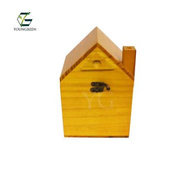 China Viable Pine Wood Pet Urn Scatter Tube and Wooden Ashes Box for Dog Cat Urn Memorial Casket for sale