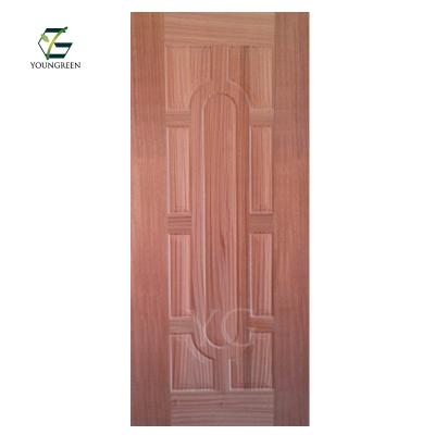 China Mold Molded Plywood Door Skin Natural Sapelli Veneered Door Size Plywood for sale