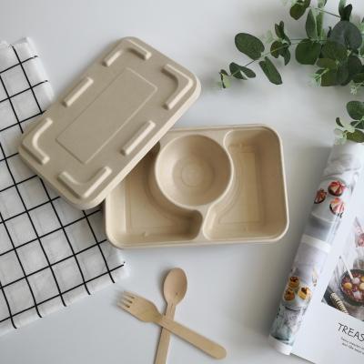 China Disposable Biodegradable 3 Compartment Food Tray Wheat Straw Bento Lunch Box for sale