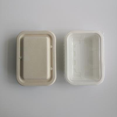 China Oil-proofing Biodegradable Food Grade Bagasse Pulp Disposable Tray for sale