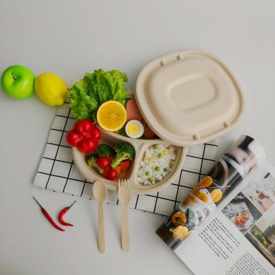 China Oil-proofing Eco Friendly Disposable Bento Box With 3 Compartments for sale