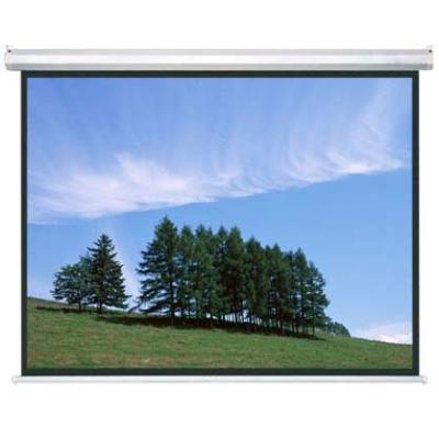 China Electric Electric Projector Screen 100