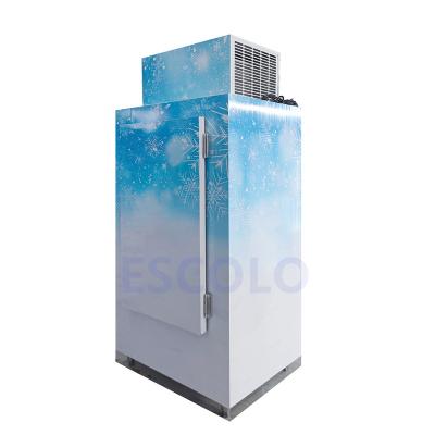 China Single-temperature CE certified single door ice cube bagged refrigerated ice storage bin for sale