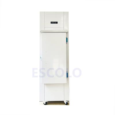 China Outdoor Energy Efficiency Refrigerator 200L Solid Ice Bagged Door Vending Machine for sale