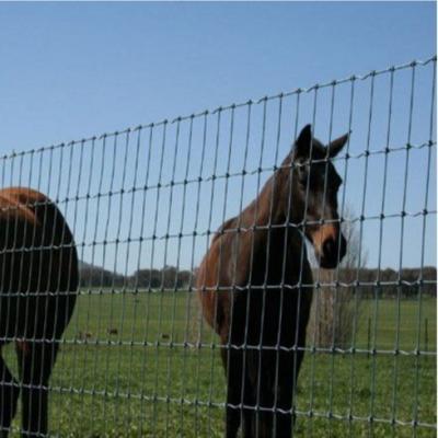 China Easily Collected Cattle Fence Cattle Wire Mesh Fence for sale