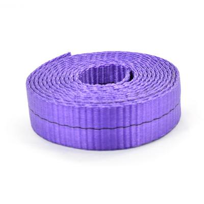 China Eu Standard Polyester High Tenacity 1t Purple Webbing Lifting Webbing for sale