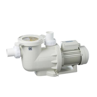 China Villas Professional Supplier High Reinforced Plastic Engineering Swimming Pool Water DC Pumps for sale