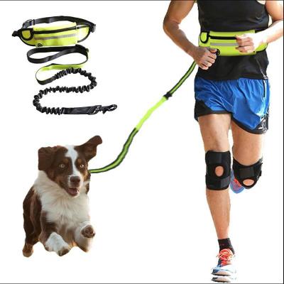 China Personalized Hands Free Dog Leash, Dog Walking, and Training Belt with Shock Absorbing Bungee Leash Phone Pocket and Water Bottle Holder. for sale