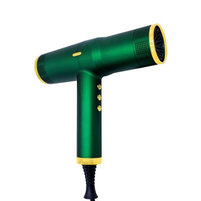 China High Quality Popular High Speed ​​Brush Ionic Hair Salon Hair Dryer Styler for sale