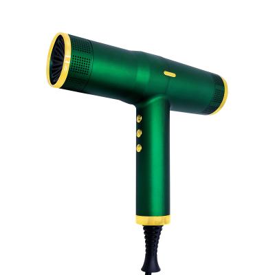 China 2022 Hot Sale Modern Professional Green Ionic Mini 2000W Hair Dryer For Sale AC Motor Revair Blow Dryer And Styler for sale