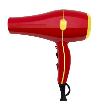 China Ionic Perfect Quality Hair Dryer AC Motor Powerful Hooded Hair Dryer for sale