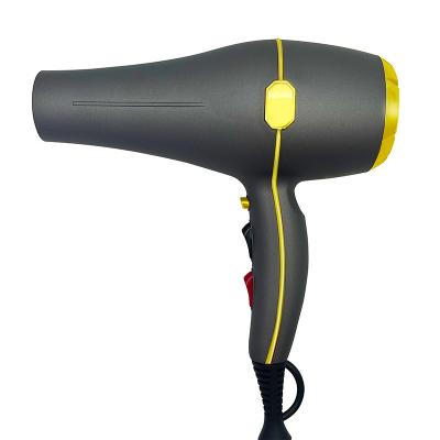 China Professional Manufacture Mini Blow Hotel Hair Dryer Ionic Air AC Motor For Travel For Sale for sale