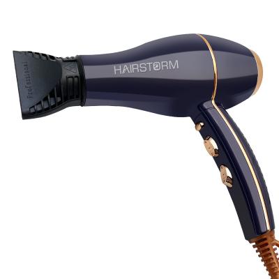 China Ionic Well-designed Super Air Portable Hair Dryer 2400W AC Motor For Gift for sale