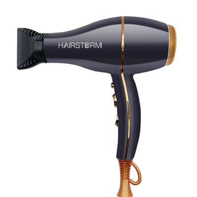 China Beautiful Ionic Design 2400 Watt Hair Dryer Ion Hair Dryer Professional Salon Negative for sale