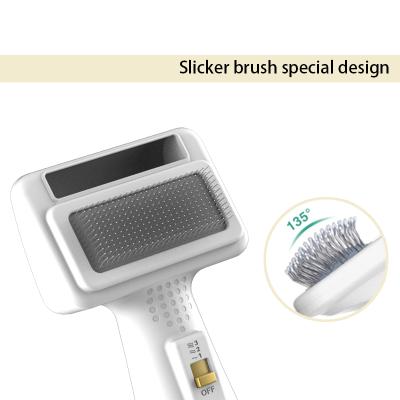 China 2021 New Arrival Viable Wholesale Manufacturer Anti-twist Pet Brush Comb Fan Dryer for sale