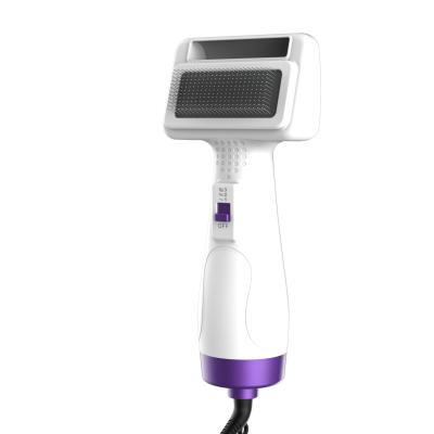 China 2021 Sustainable Modern Popular Hot Hair Dryer And Volumizer Airbrush Pets 2 In 1 Brush And Comb for sale