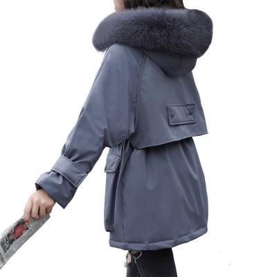 China Factory Wholesale Women's Anti-wrinkle Winter Jacket Down Jacket Thick Warm Women's Coat for sale