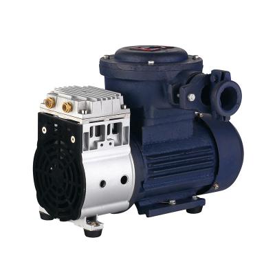 China HVAC OEM oil free piston explosion proof vacuum pump for coal mine gas, methanol and other chemical gas for sale