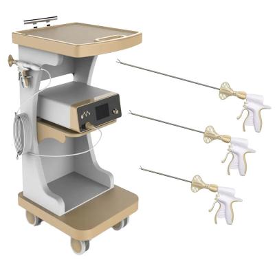 Cina Coagulation Ability And Tissue Sensing Technology Ultrasonic Scalpel System Vessel Sealing Veterinary Surgery in vendita