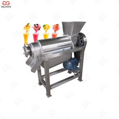 China High Efficiency Seabuckthorn Juicer Machine Cashew Apple Juice Making Machine for sale