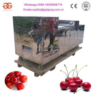 China Commercial Electric Cherry Pitter Machine GG-40 Cherry Pitting Machine for sale