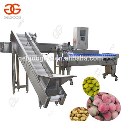 China 304 stainless steel automatic sorter (except tray) | Fruit weight sorting | Citrus Weight Sorting Production Line for sale