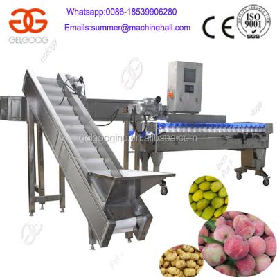 China Easy Operation Vegetable and Fruit Weight Sorter Apple Sorter Mango Sorter for sale