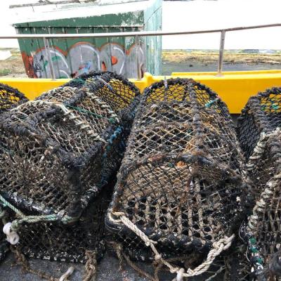 China Strong Corrosion Lobster Fishing Basket Lounge Pot Whelk Pot Shrimp Trap Equipment Sea Winch Resistance Fishing Net for sale