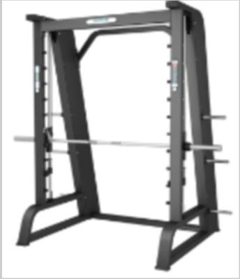 China Commercial Use Plate-loaded Smith Machine for sale