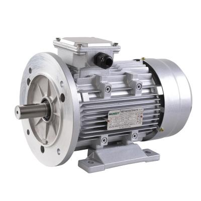 China Wholesale Waterproof Powerful Ys Series Aluminum Three Phase AC Electric Motor for sale