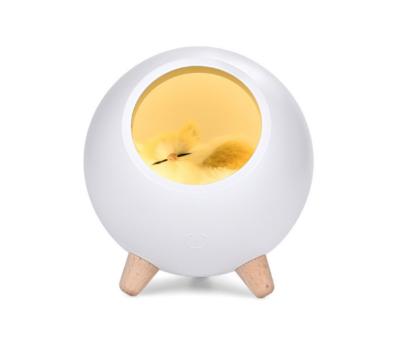 China Creative Home Decoration Night Light Small Room Cat Pet House Light For Children for sale