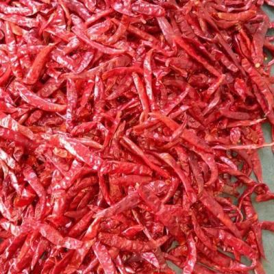 China Dry Cayenne Pepper Hot Chilies Teja S17 Chilli Teja S17 India Chilli Teja S17 for sale