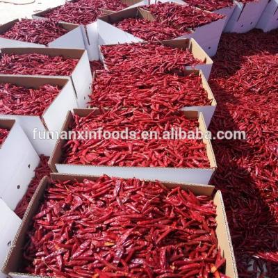 China Dry Chinese Dried Red Whole Chilli for sale