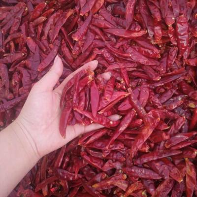 China YiDu Chilli Jinta Chilli Red Dry Chilli Red Pepper Chaotian Chilli for sale