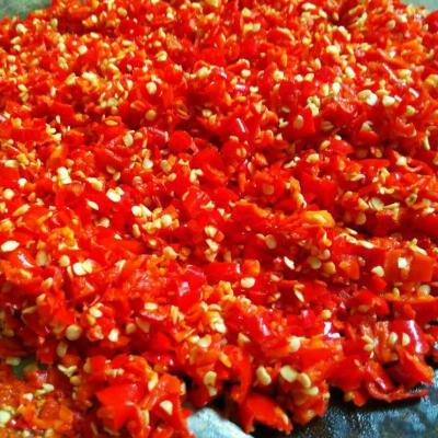 China Wholesale Fresh Factory Red Chilli Stick Sauce 25% Salt Fresh Chilli Stick In Drum for sale