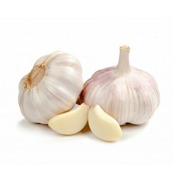 China Fresh Chinese White Garlic for sale