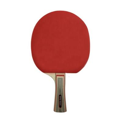 China Professional High Quality Eco-friendly Durable Ping Pong Racket Bat Ping Pong Paddle Suit for sale