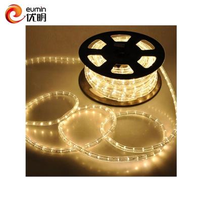 China Theme Park Festive Party Supplies Garden Decoration Dmx Controlled 220v 110v 24v 12v Led Outdoor String Lights for sale