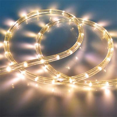 China LANDSCAPE Economical Custom Design Waterproof Led Rope Light Series Color Changing Led Rope Light for sale