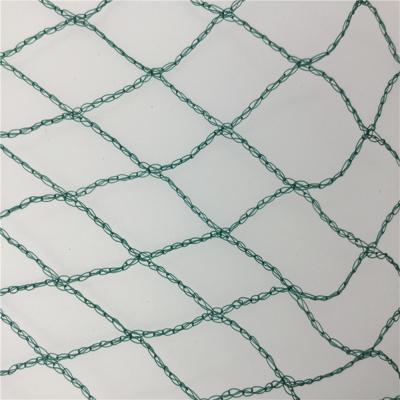 China Agriculture Use Protective Orchard Bird Anti Netting Agricultural Anti-bird Netting For Garden for sale