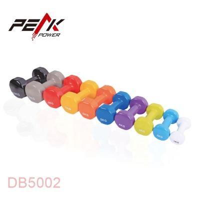 China High Quality PeakPower Gym Equipment Sports Weight Dumbbell for sale