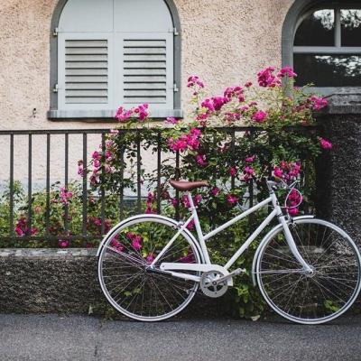 China High End White Ladies City Bikes Urban Bicycle With Riser Handbar for sale