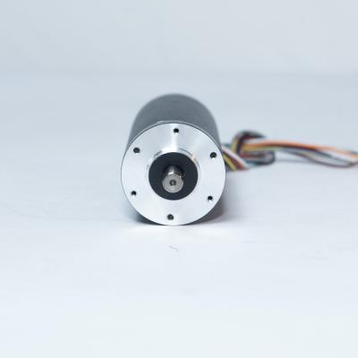 China Vierkant Ronde 25w 50w 100w 12 Volt Bldc Motor 2v borstelloze DC Motor 42mm Te koop