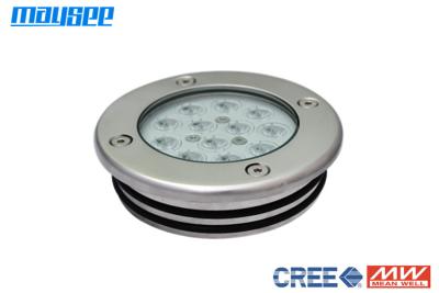 China 36W / 12W LED piscina Luces, CREE LED subacuáticas piscina Luces en venta