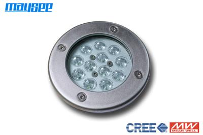 China Waterproof RGB Color Changing LED LED Dock Lights , LED Underwater Lights For Dock for sale