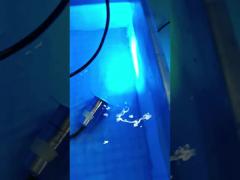 Swimming Pool light RGB LED Underwater Lights 316SS Materials